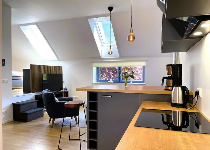 农家乐 Hof Hanau *