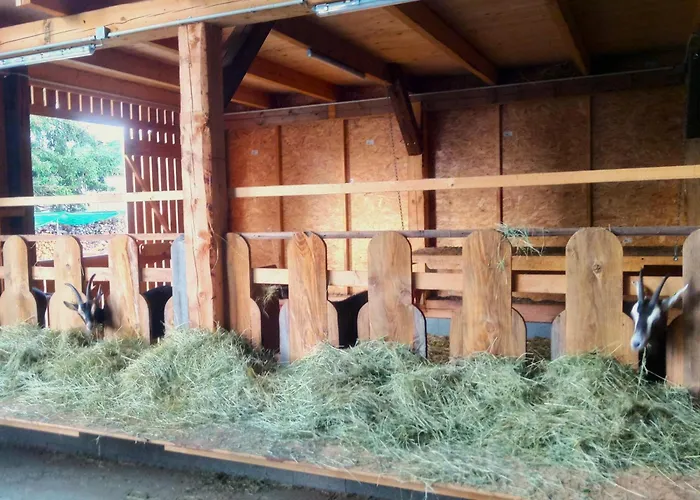 Hof Hanau Dorgenhausen