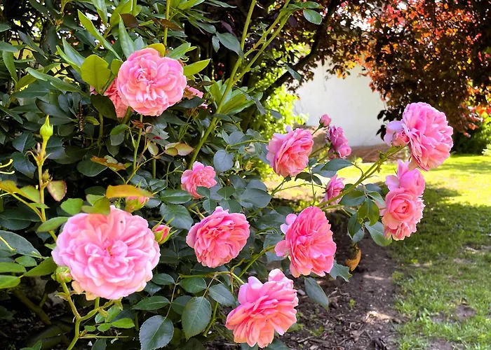 农家乐 Hof Hanau Dorgenhausen