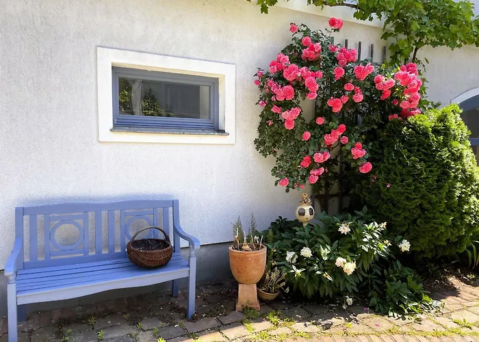 Hof Hanau Dorgenhausen